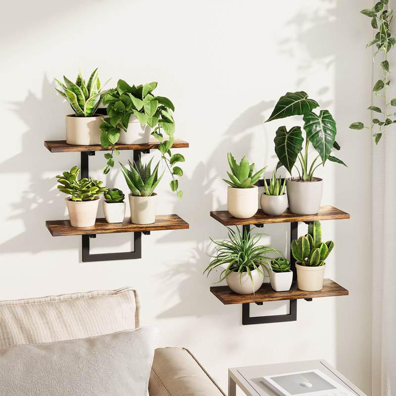 Tablettes flottantes pour jardinières murales pour plantes d'intérieur Tablettes suspendues