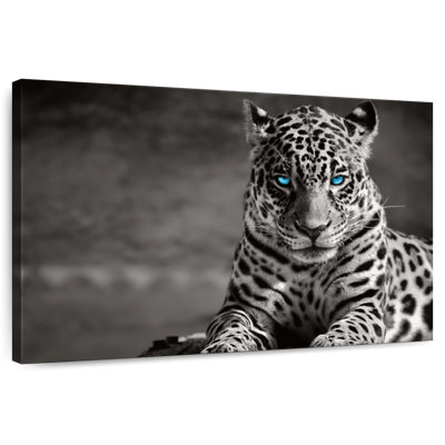 Jaguar Eyes Pop