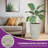 19.5" Resin Tall Pot Planters for Outdoor Plants, Heavy-Duty Large Flower Pots, Weather-Resistant