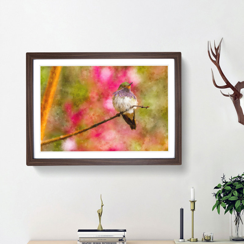 Hummingbird - Picture Frame Graphic Art Print, Walnut Framed, 62cm H x 87cm W x 2cm D
