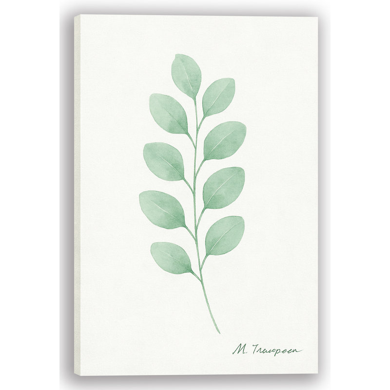 Doux eucalyptus vert botanique I - Toile tendue sur toile tendue, H 24 po x l 16 po