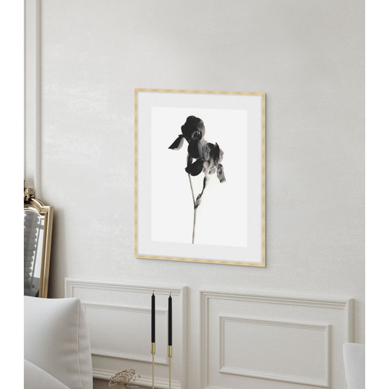 Flora Noir 4 Print by Studio L57 Narrative, 20.75" H x 17.75" W
