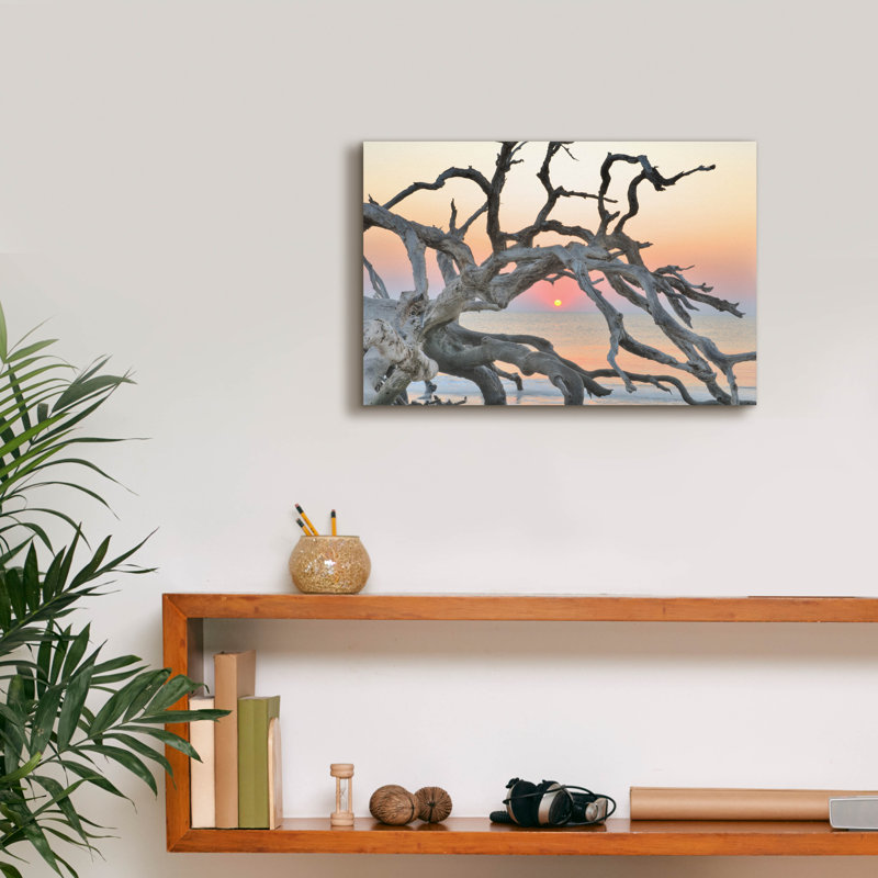 «Latitude Sun® Sentinel» par Steve Vaughn, art mural sur toile Latitude Latitude®, H 12 po x l 18 po x P 0,75 po