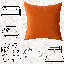 Ensemble de 2 housses de coussin en velours de couleur unie-1405445891-1442569433-1454408152