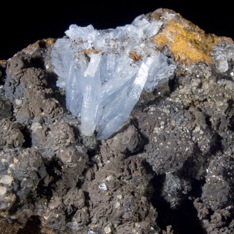 Barite à pales bleues - Jebel Ouichane, Maroc