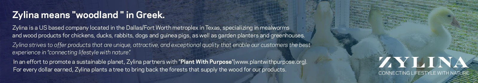 Zylina means "woodland " in Greek. Zylina is a US based company located in the Dallas/Fort Worth met