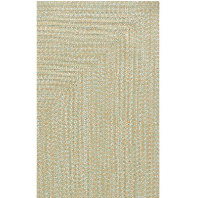 Braided 260 Hand Woven Performance Machine Washable No Pattern Rug
