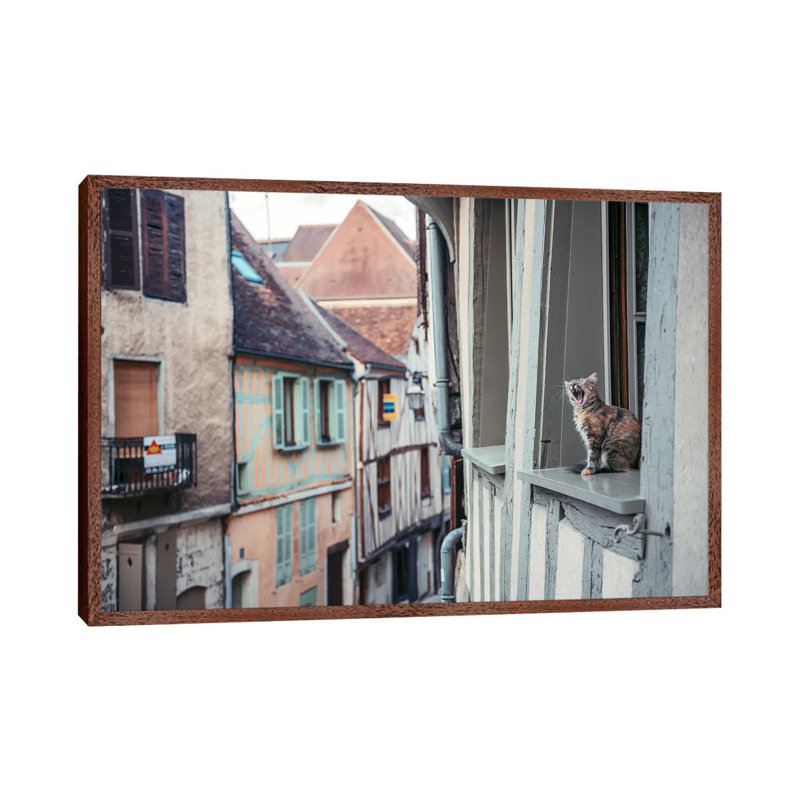 Territory by Timothy Entropy - Print on Canvas, Classic Brown Wood Floater Framed, 66.04cm H x 101.6cm W x 3.81cm D