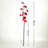 Plum Blossom Arrangement