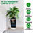 Set of 2 Tall Outdoor Planters with Self-Watering System - Square Garden Pots with Wheels & Water Level Monitor - Large Indoor/Outdoor Flower Pots with Drainage & Inner Bucket-234154527-234154512