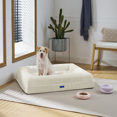 Sam's Pets Scruffy Orthopedic Dog Bed