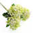 Cream/Green selected