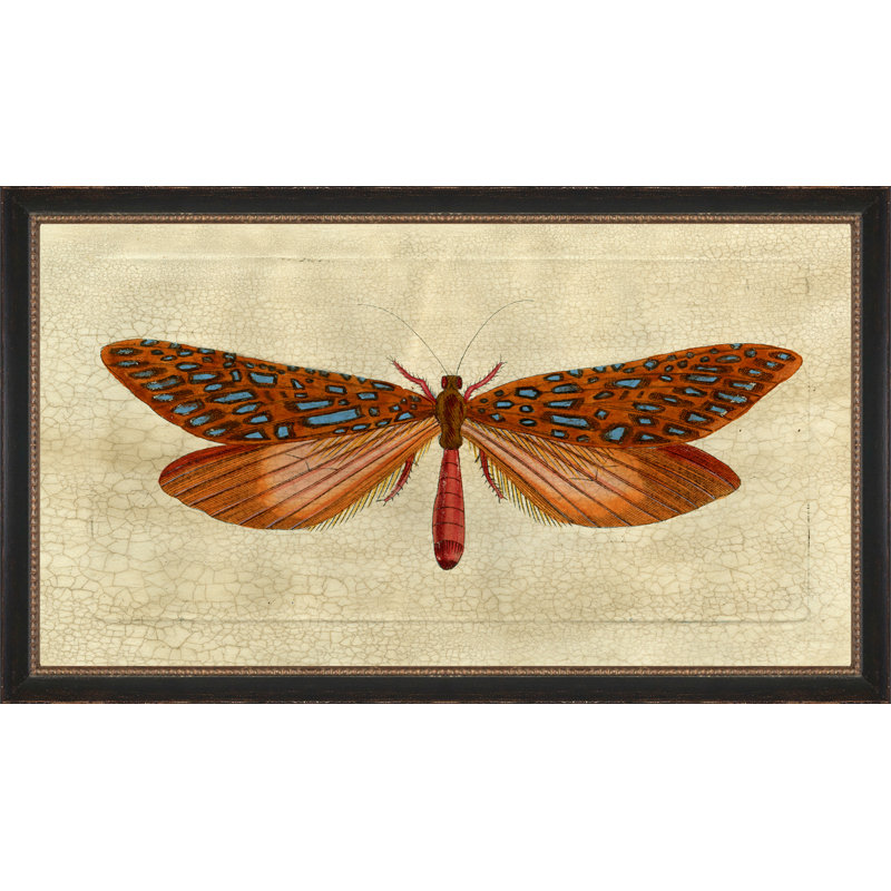 Papillon craquelé 1 - Peinture sur papier avec cadre photo