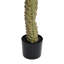 Faux Bonsai Tree in Pot-1143358151