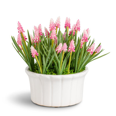 Remy Hyacinth Arrangement
