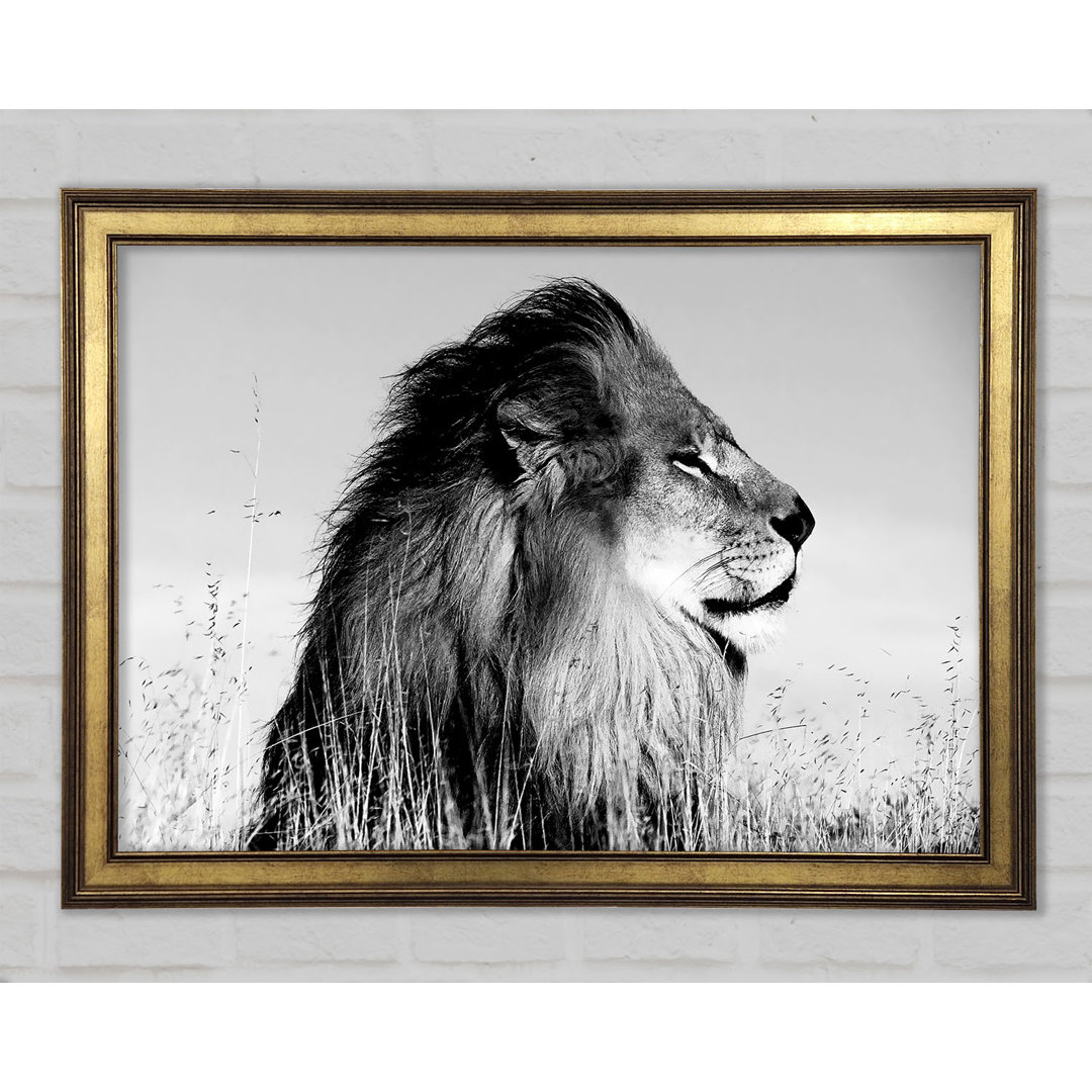 Lion On Watch Black N White - Einzelner Bilderrahmen Kunstdrucke