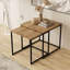 Nesting Table (2 Pieces)