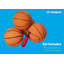 Jeu de basketball Triumph Sports Big Shot II