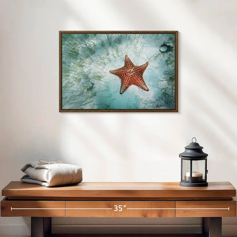 Étoile de mer peu profonde, 19 po x 13 po, Cadre flottant noyer