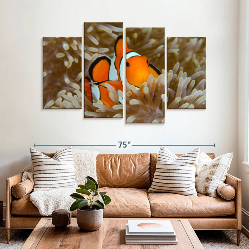 Bramem Wakatobi Anemonefish Pet