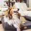 Ferplast Beddings Orthopedic Cotton Pet Bed-88709281