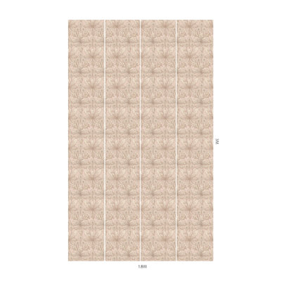 Taraxa Phlox Wallpaper