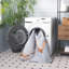 Darcee Machine Washable Area Rug-1810652773