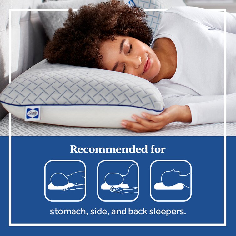 https://assets.wfcdn.com/im/93338230/resize-h755-w755%5Ecompr-r85/1978/197880530/Sealy+Essentials+Cool+Touch+Memory+Foam+Pillows%2C+2+Pack.jpg