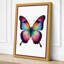 Rainbow Butterfly Modern - Wrapped Canvas-319816580-319816585