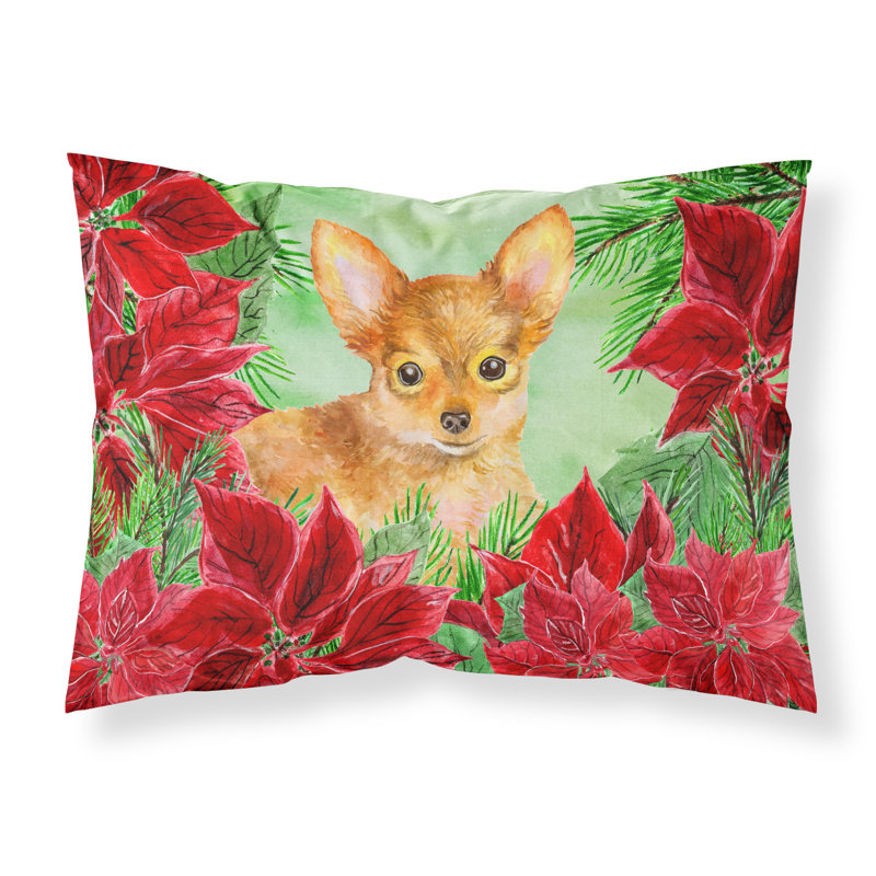 Microfiber, Toy Terrier