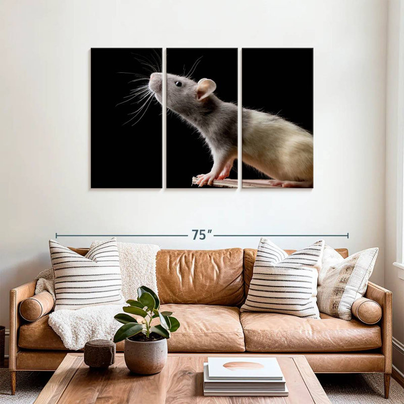 Brampt Rat Close Up, 36" H x 57" W