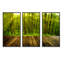 Golden Sunlight in Pine Forest - ensemble d'art mural sur toile encadré paysage-1664475307-1664475306