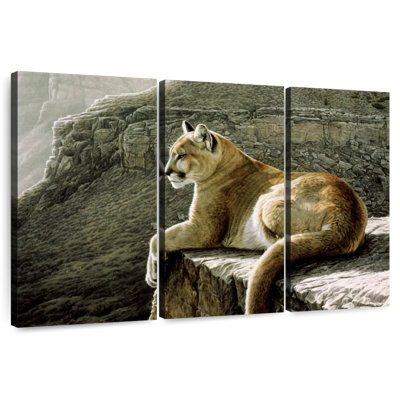 Rimrock - Cougar