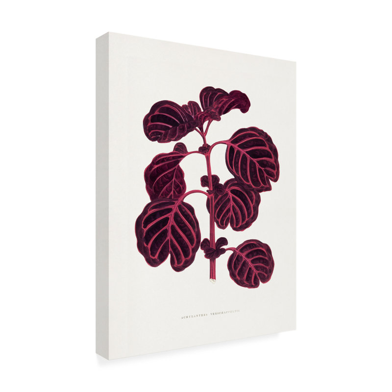 Art sur toile, "Les Plantes", H 47 po x l 35 po