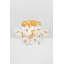 Hygea 4 Light Flush Mount