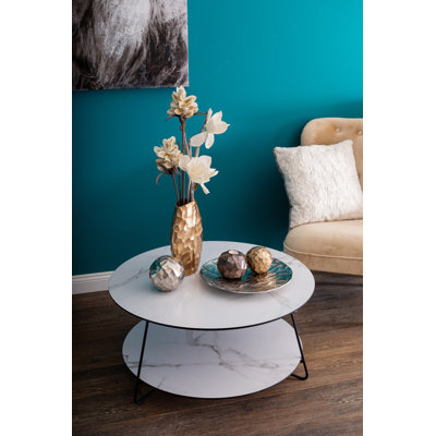 Amylyn 3 Legs Coffee Table with Storage