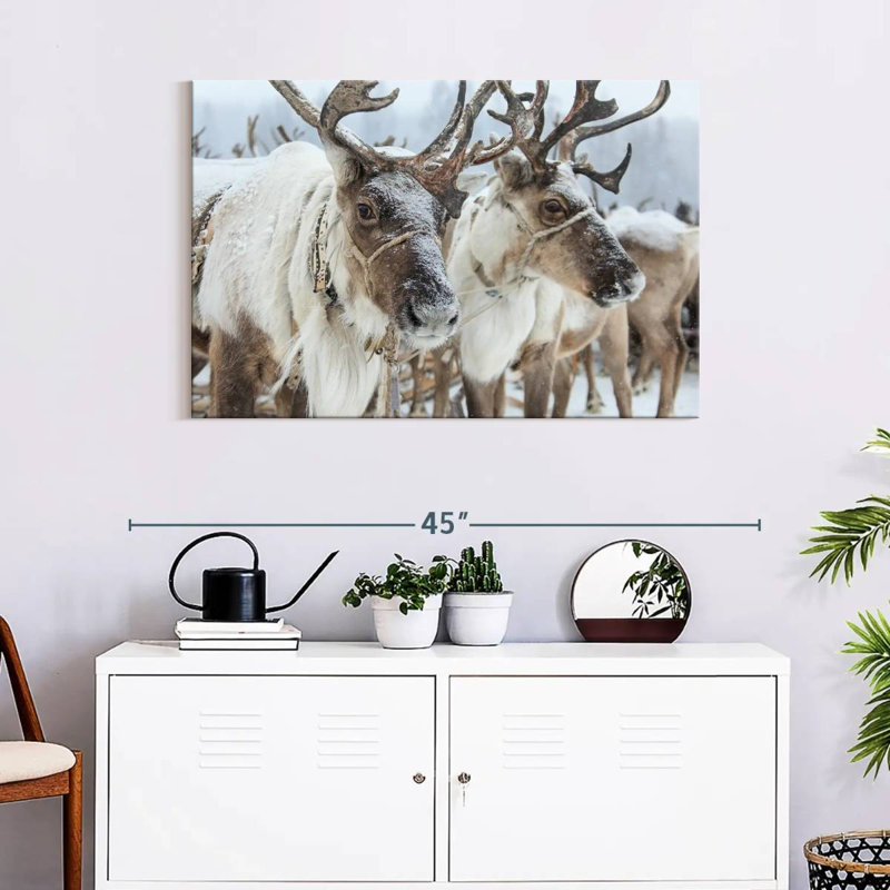 Snow Reindeer, 24" H x 36" W
