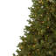 Sommer 90' H Lighted Artificial Fir Christmas Tree