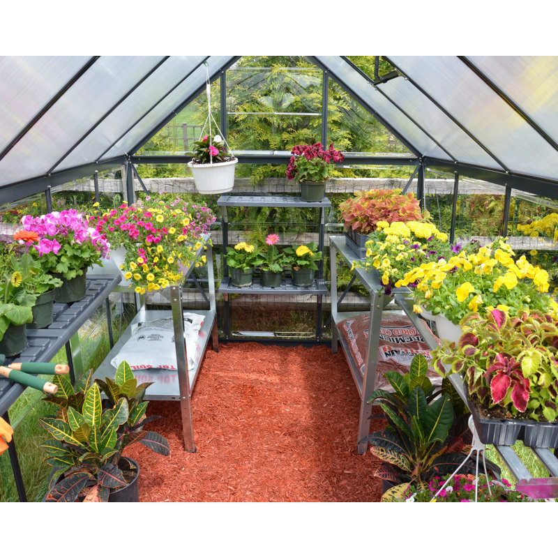 Hobby Greenhouse, 208cm H x 185cm W x 247cm D