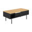 Anajia Four Leg Coffee Table with Storage-71082762