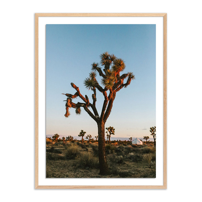 Camp Print by Wesley And Emma Teague, White Oak Picture Framed, Yes, 60" H x 40" W