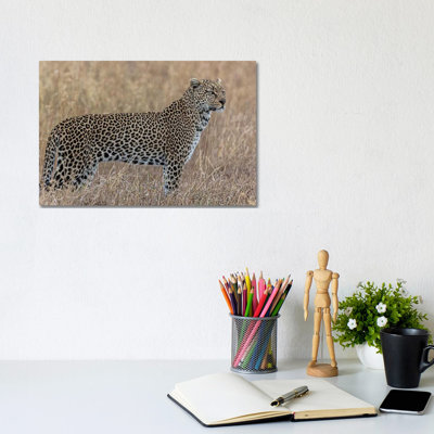 Hunting by Anders Jorulf - Wrapped Canvas Gallery-Wrapped Canvas Giclée