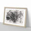 Spiders Cobweb - Picture Frame Graphic Art Print-56877294-56877302