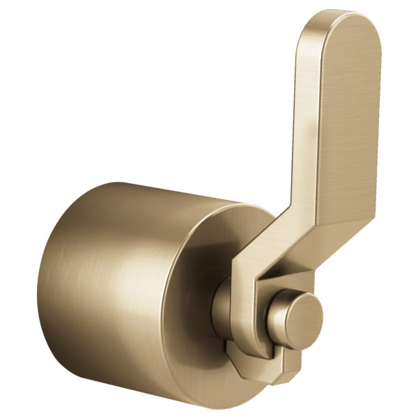 Litze® Wall Mounted Diverter Valve, Luxe Gold, Industrial Lever