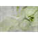 Premium Machine Washable Cerrito AMF506 Green Rug
