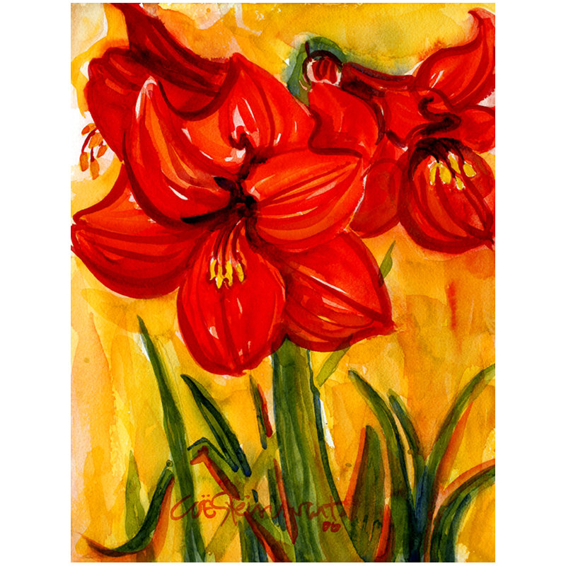 Drapeau de jardin à 2 côtés amaryllis
