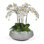 Orchids Floral Arrangement in Pot