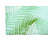Waving Palm Outdoor Rug-2068777505