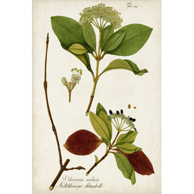 Verdure antique II
