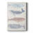 Patterned Whale Pod II -Gallery Wrapped Cavas-1745634390